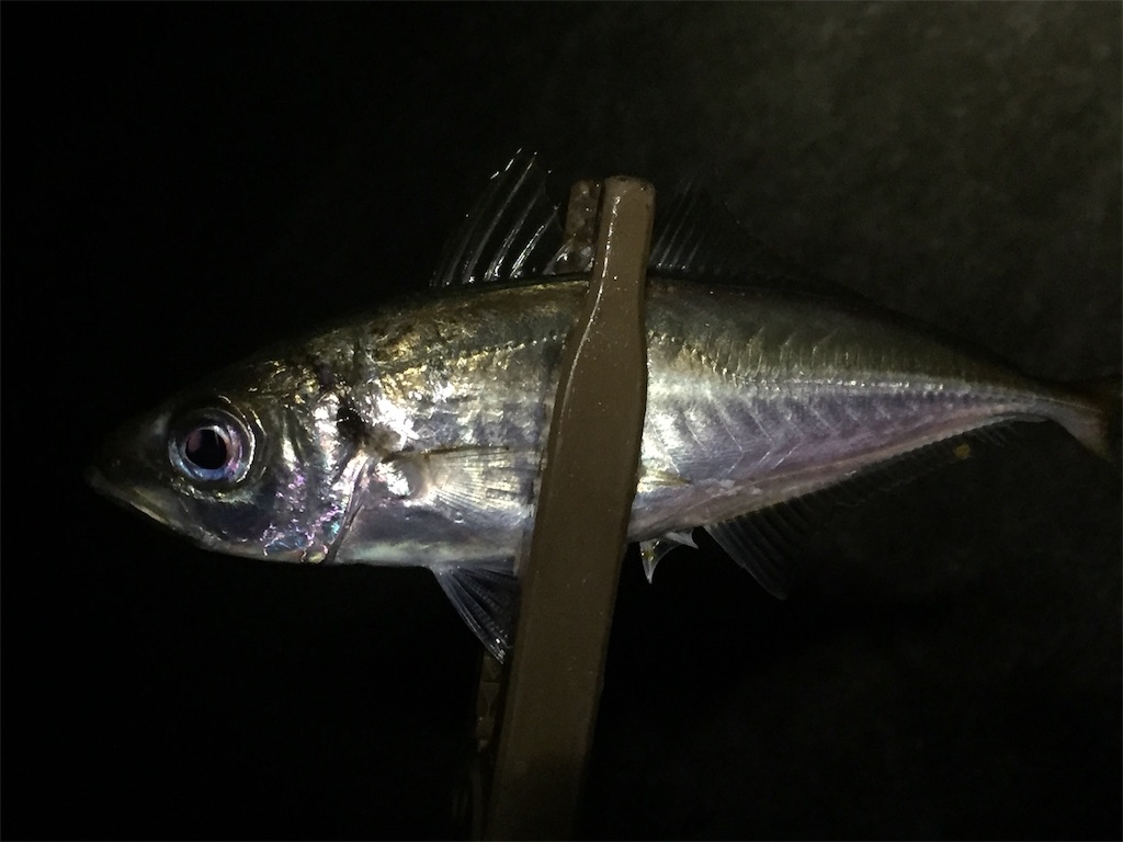 f:id:esojima3:20190617235500j:image