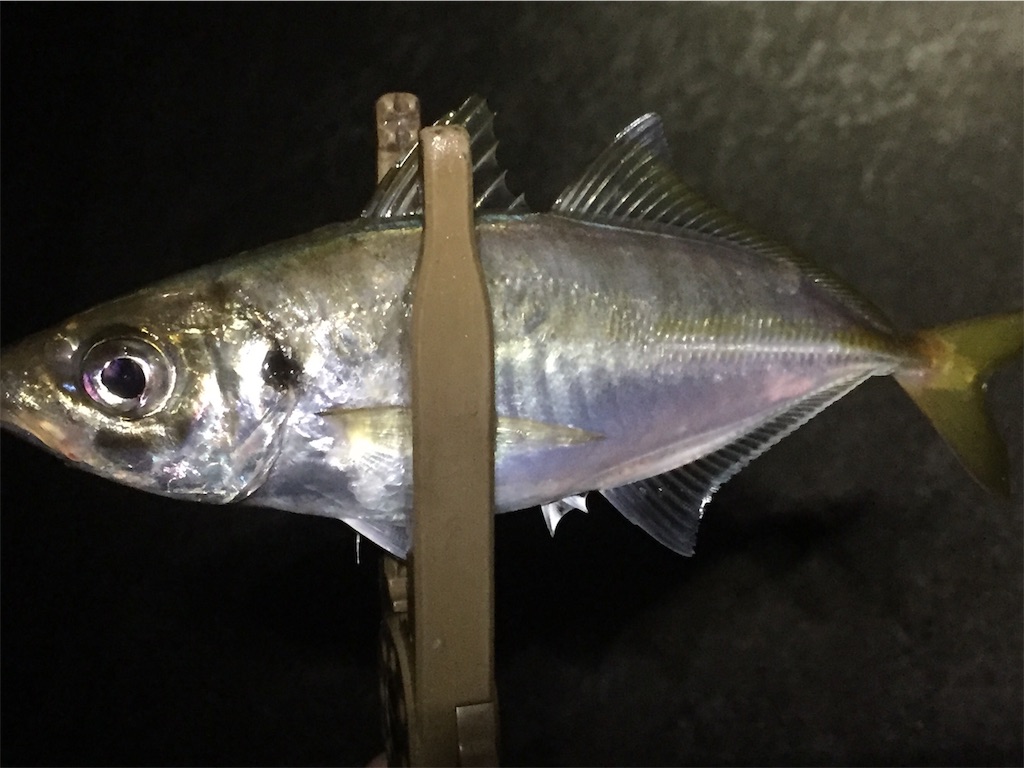 f:id:esojima3:20190617235856j:image