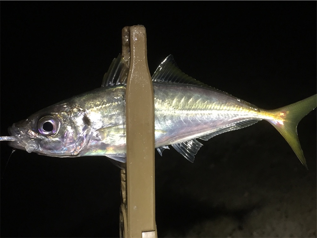 f:id:esojima3:20190617235900j:image
