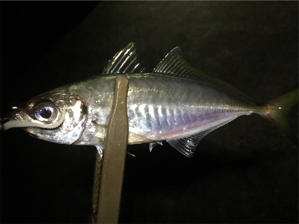 f:id:esojima3:20190618233015j:image