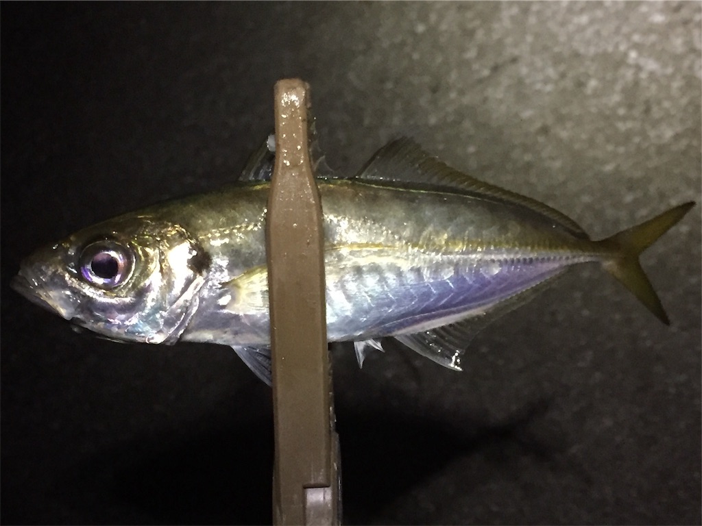 f:id:esojima3:20190618233129j:image