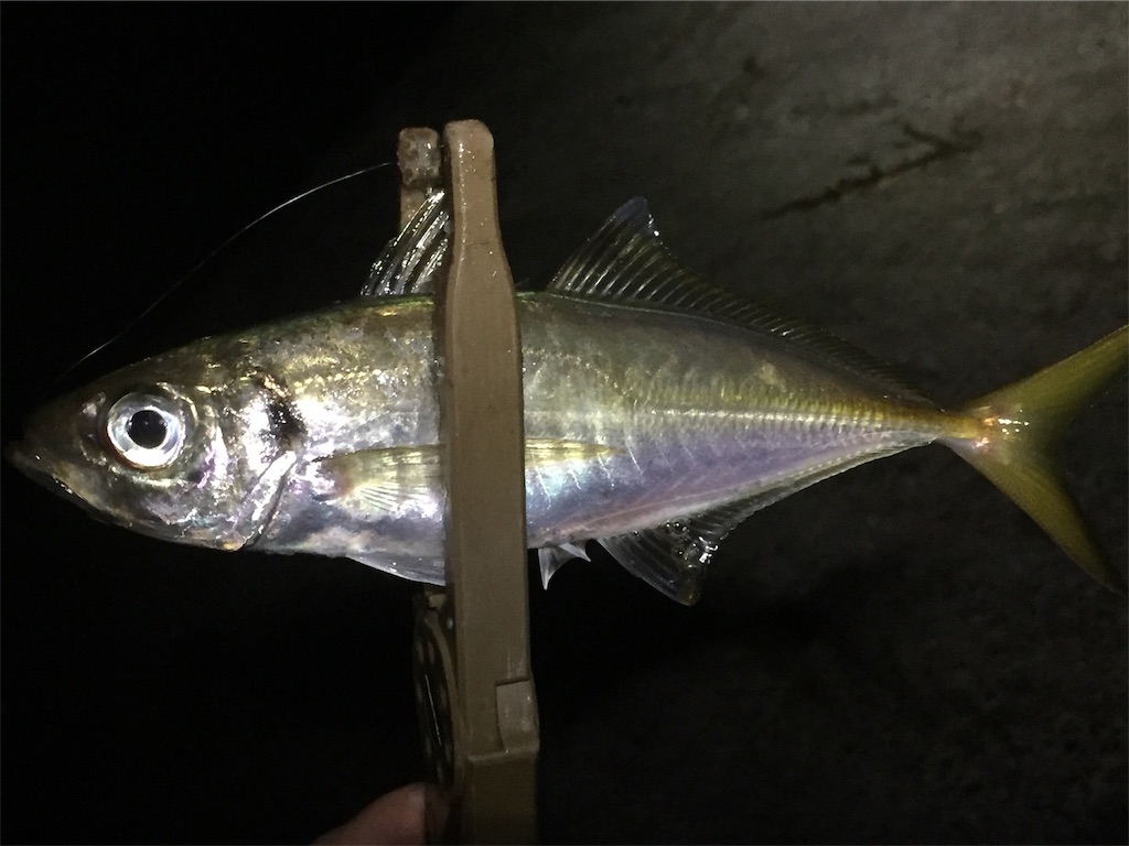 f:id:esojima3:20190618233209j:image