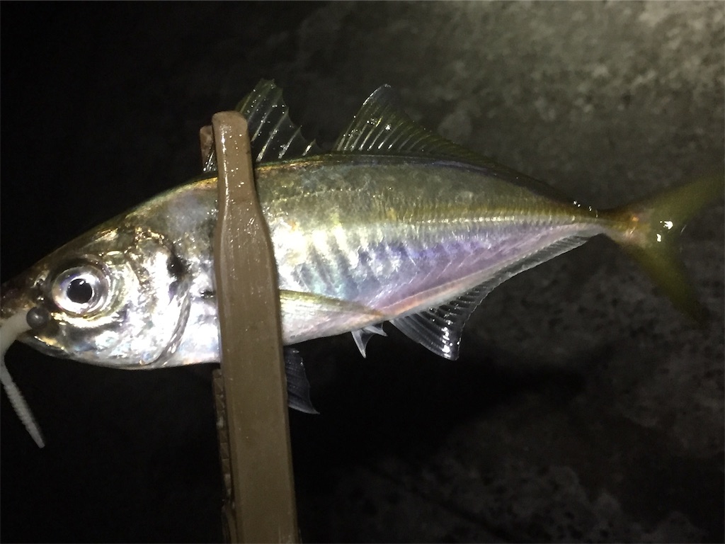 f:id:esojima3:20190618233213j:image