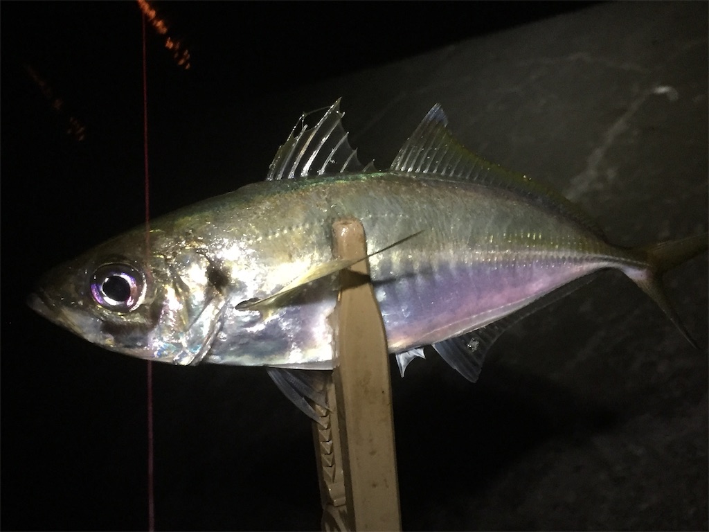 f:id:esojima3:20190619233214j:image