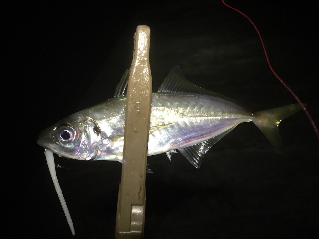 f:id:esojima3:20190619233222j:image