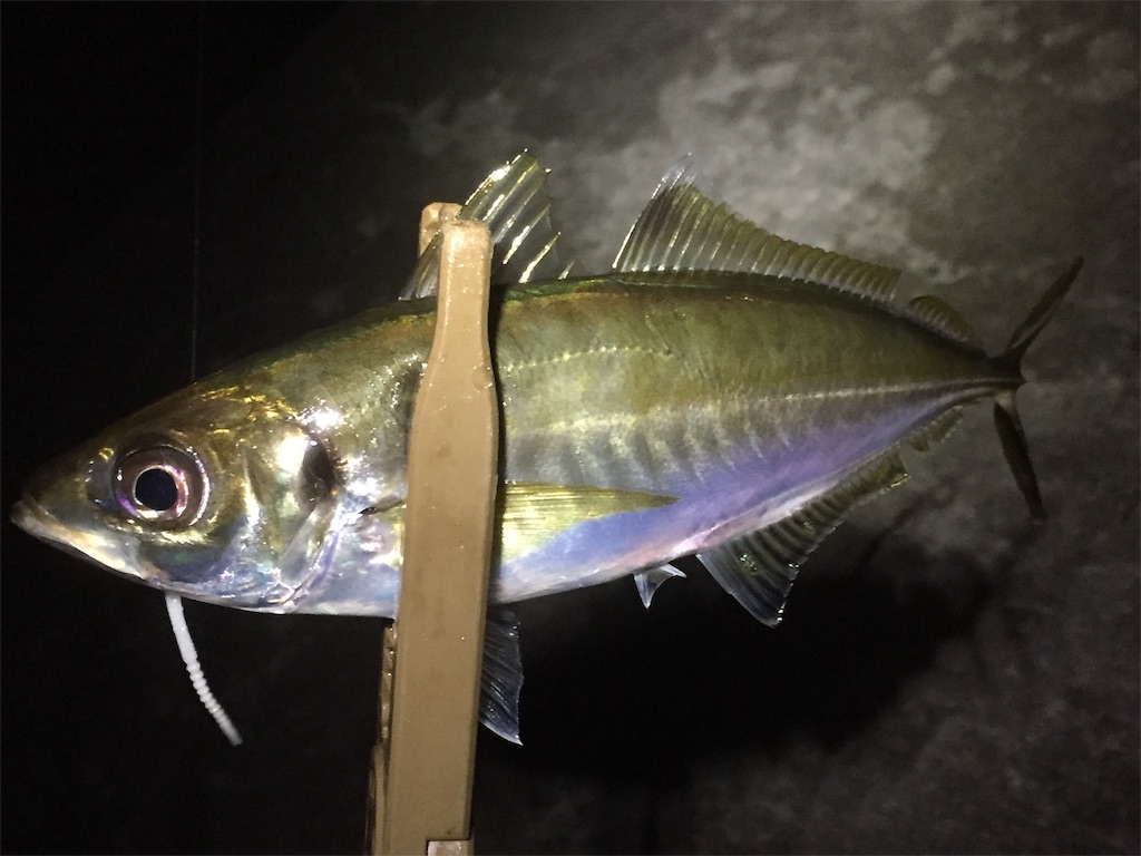 f:id:esojima3:20190619233229j:image