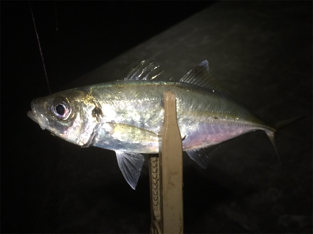 f:id:esojima3:20190619233238j:image