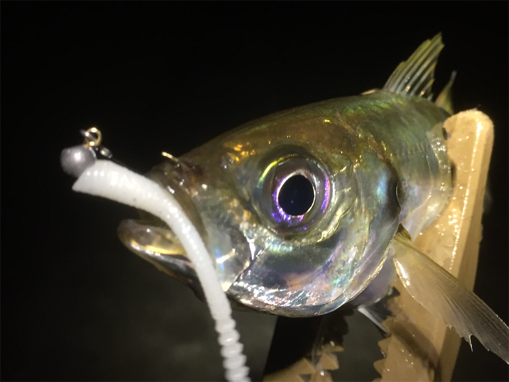 f:id:esojima3:20190619234824j:image
