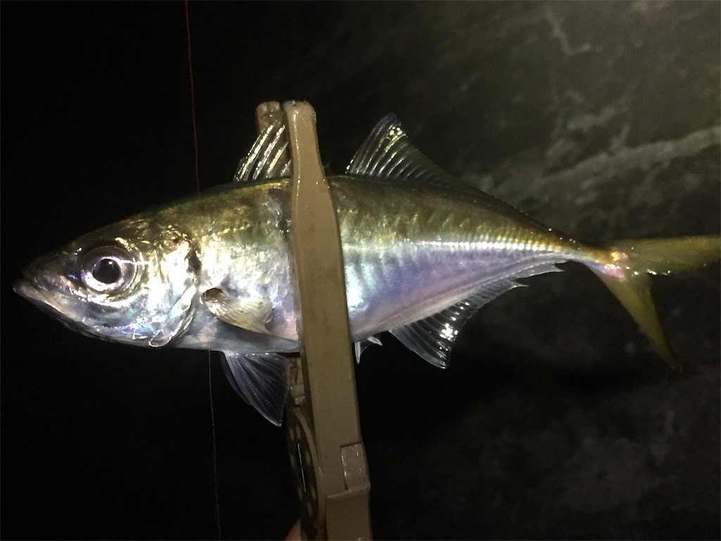 f:id:esojima3:20190619234955j:image