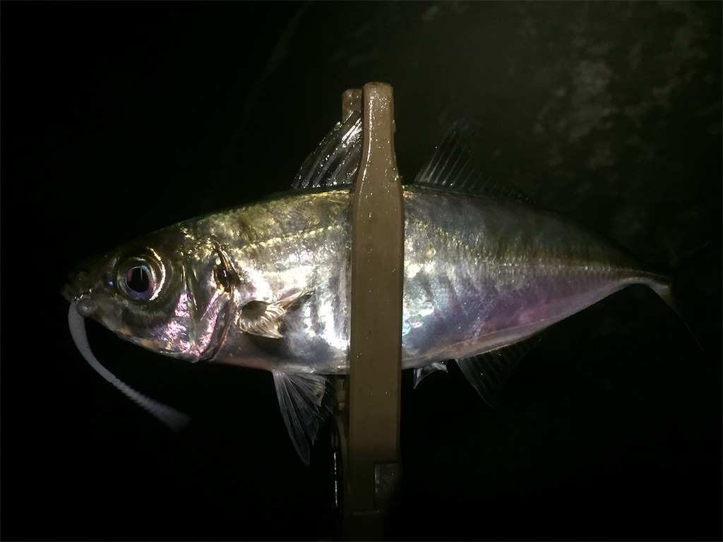 f:id:esojima3:20190619234959j:image
