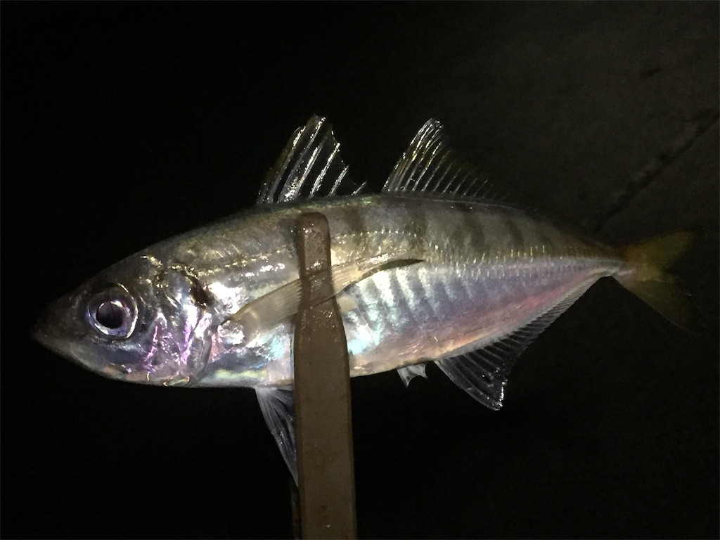 f:id:esojima3:20190621065247j:image