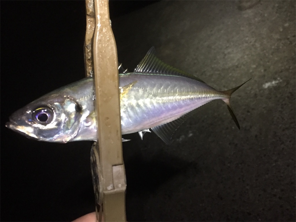 f:id:esojima3:20190621065250j:image
