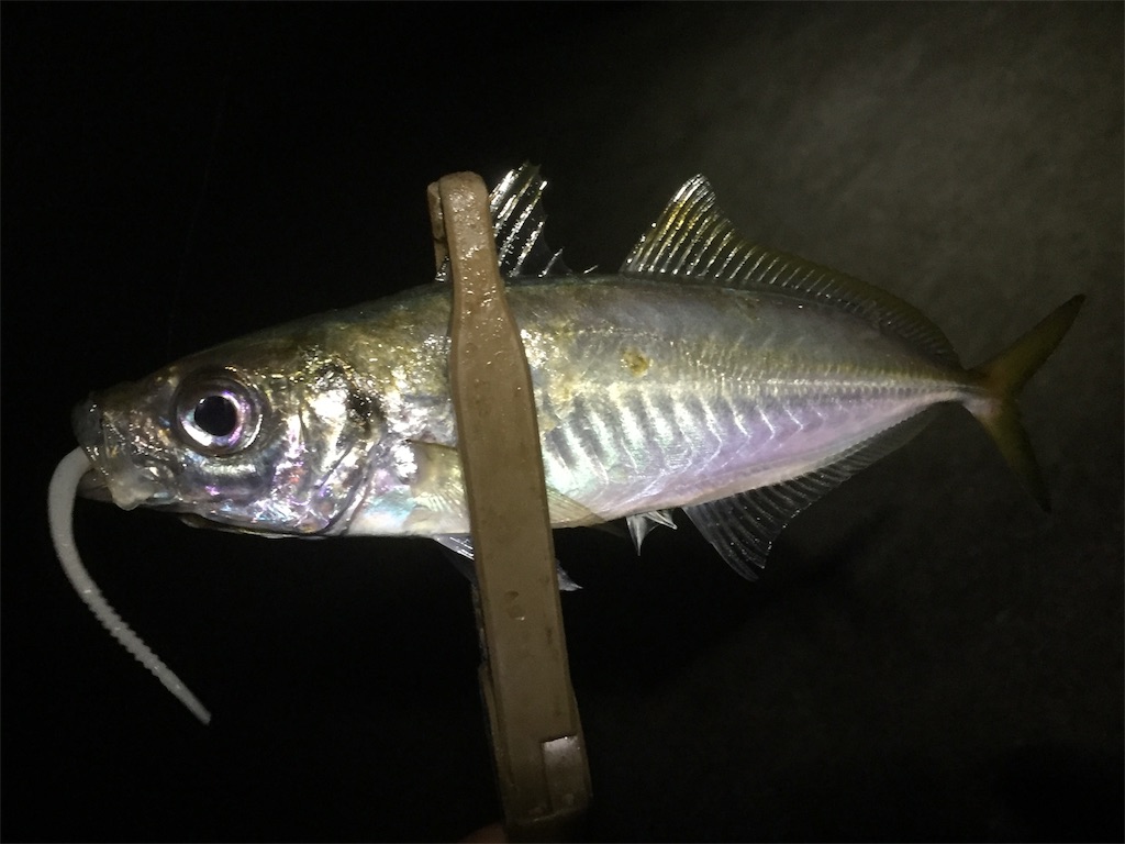 f:id:esojima3:20190621065254j:image