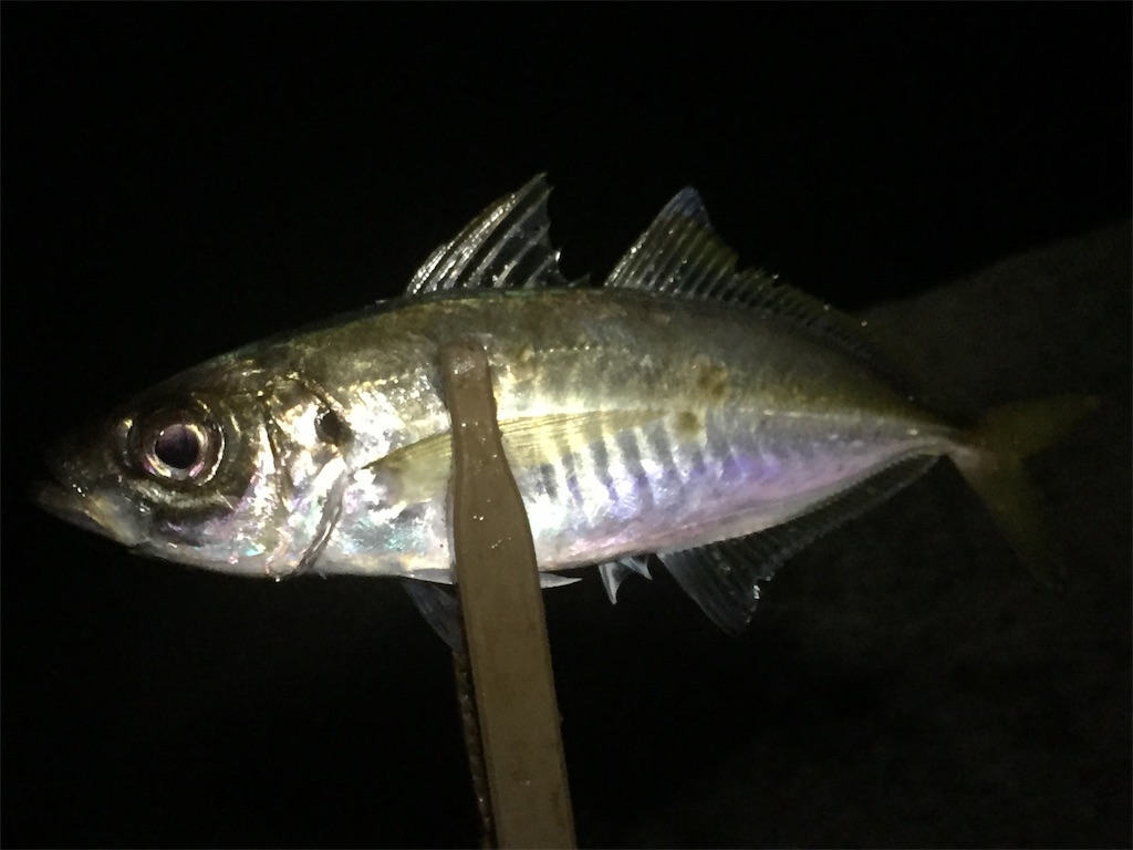f:id:esojima3:20190621065700j:image