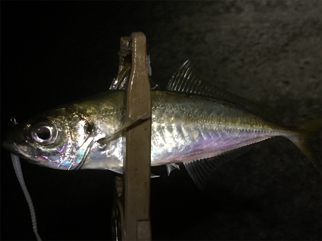 f:id:esojima3:20190621065705j:image