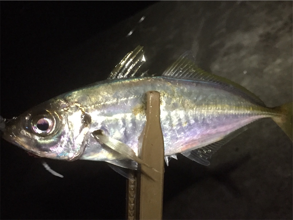 f:id:esojima3:20190621065709j:image