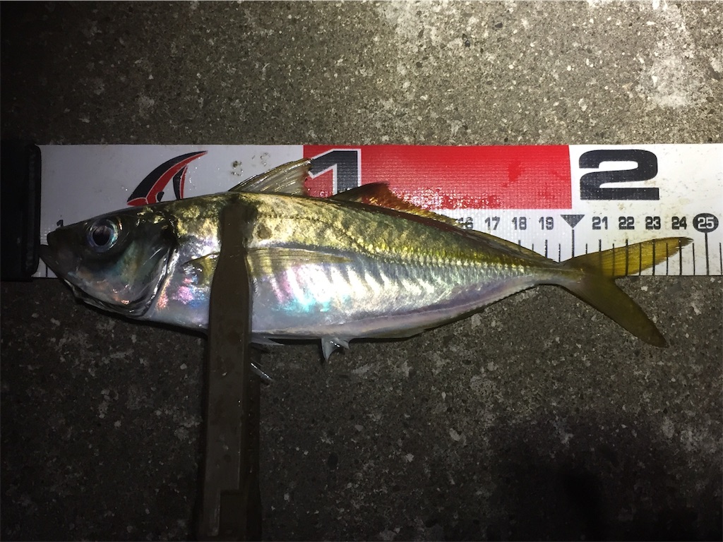 f:id:esojima3:20190621065717j:image