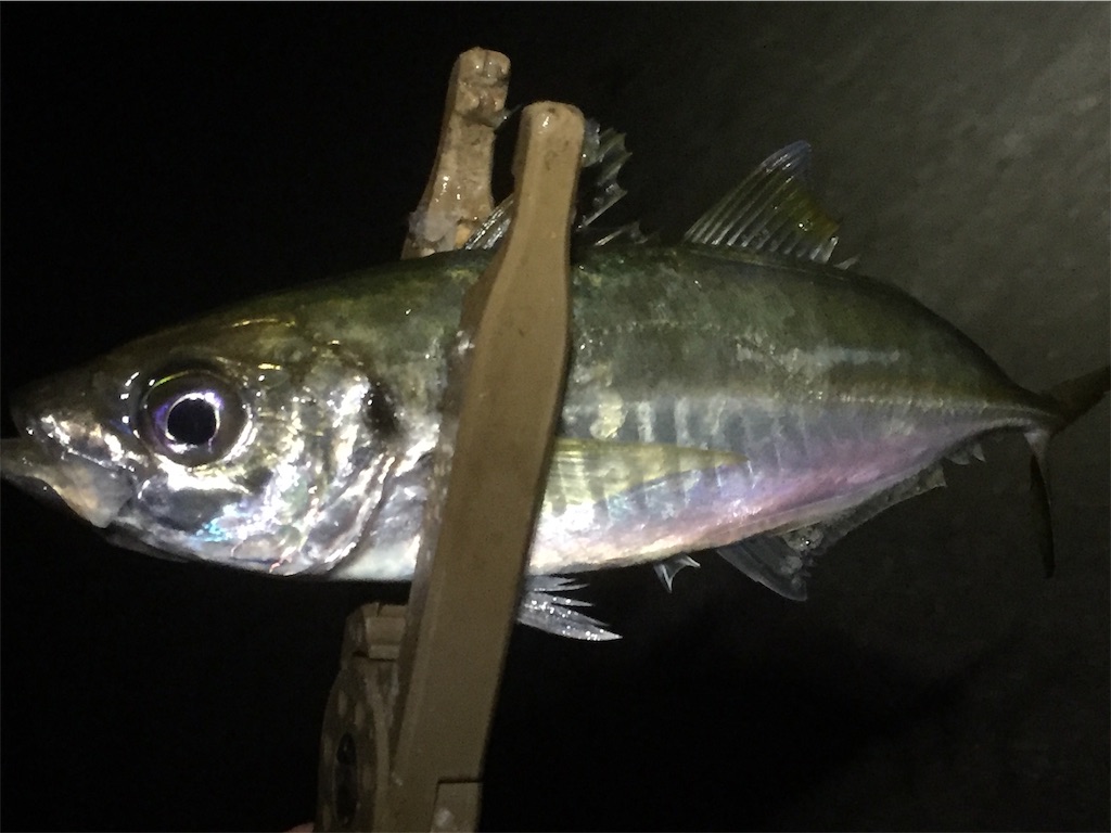 f:id:esojima3:20190622082945j:image f:id:esojima3:20190622082945j:image