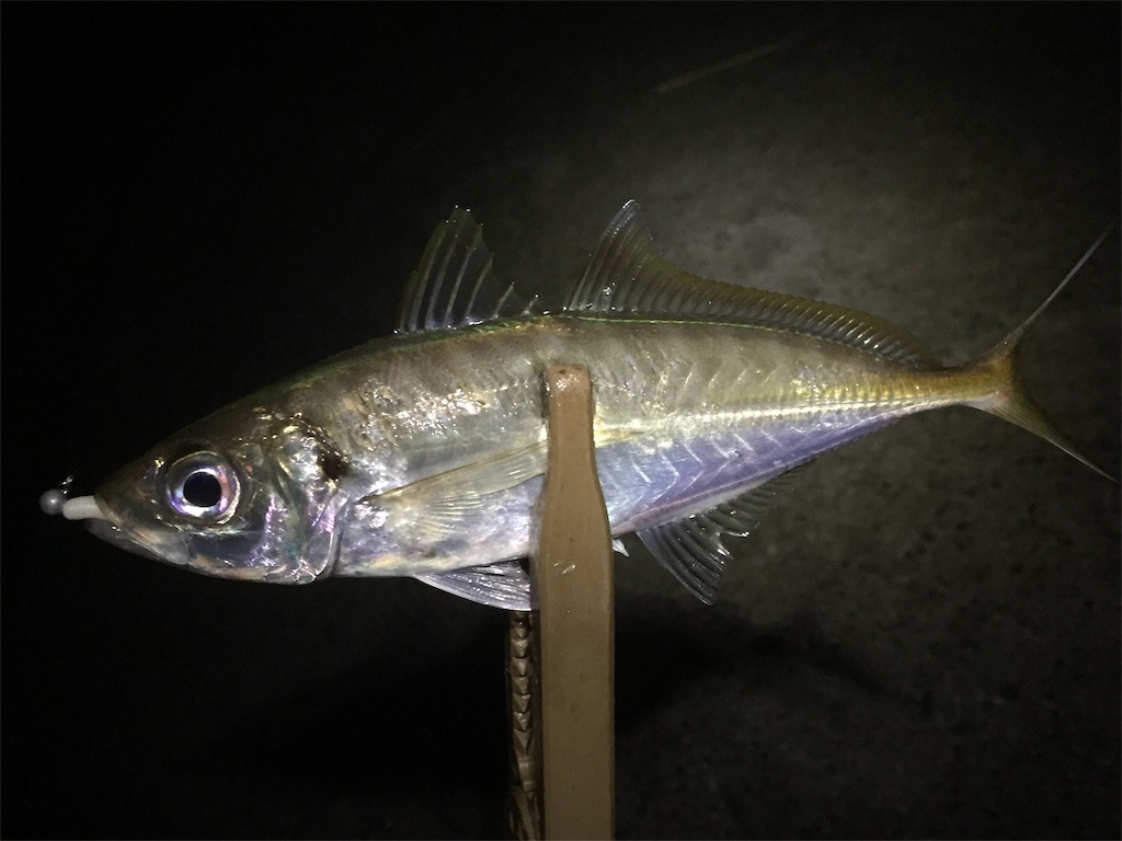f:id:esojima3:20190622083013j:image f:id:esojima3:20190622083013j:image