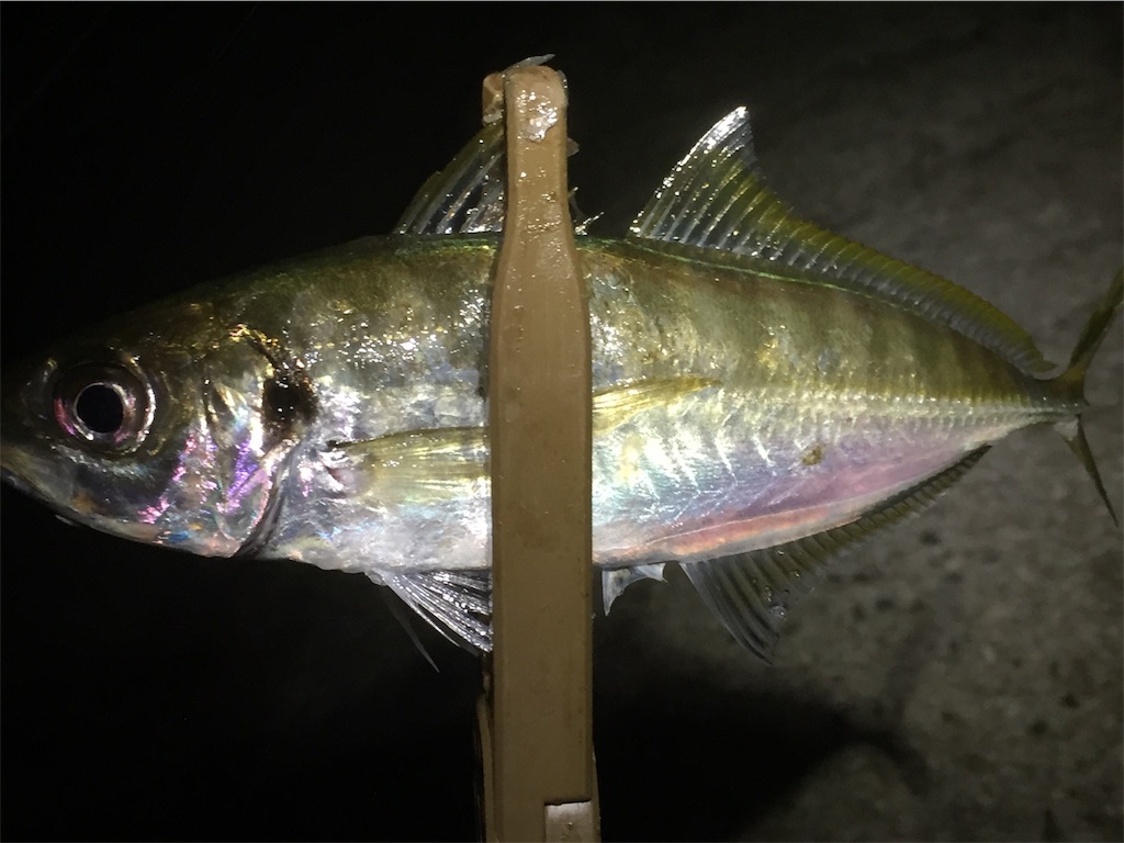 f:id:esojima3:20190622083345j:image f:id:esojima3:20190622083345j:image