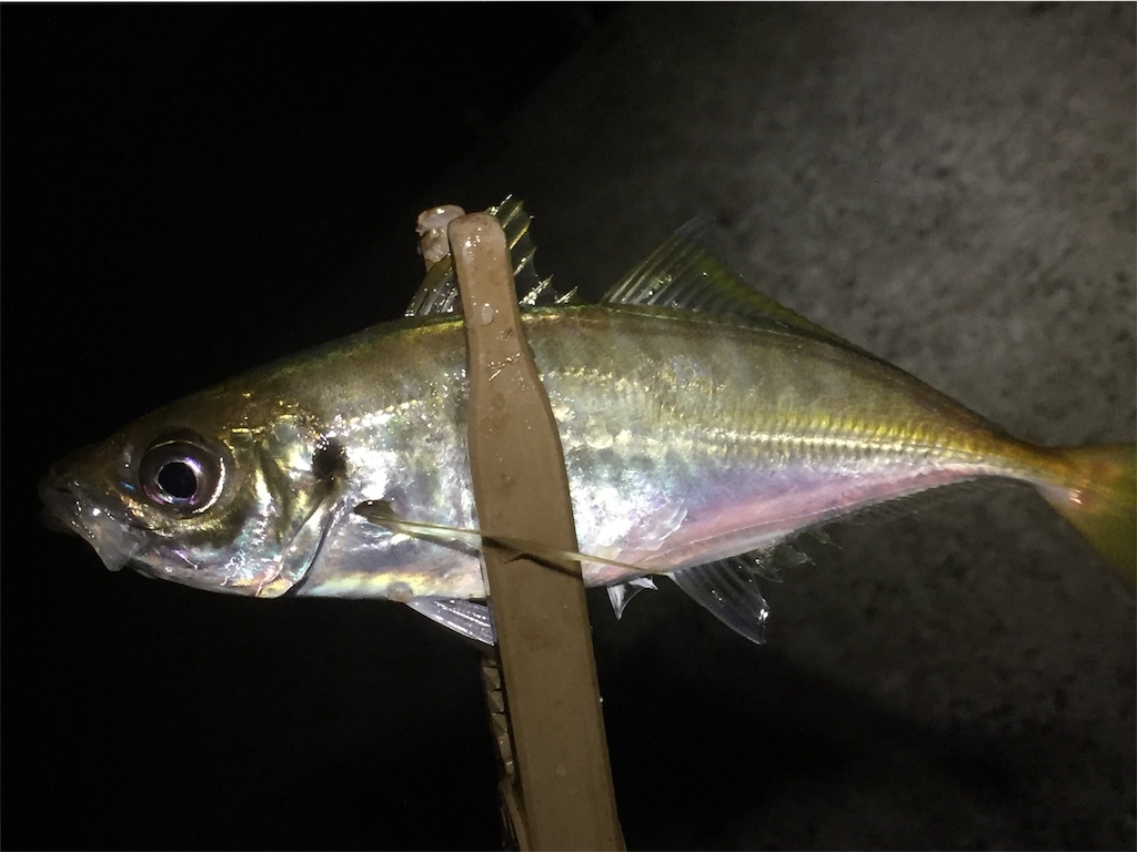 f:id:esojima3:20190622083349j:image f:id:esojima3:20190622083349j:image