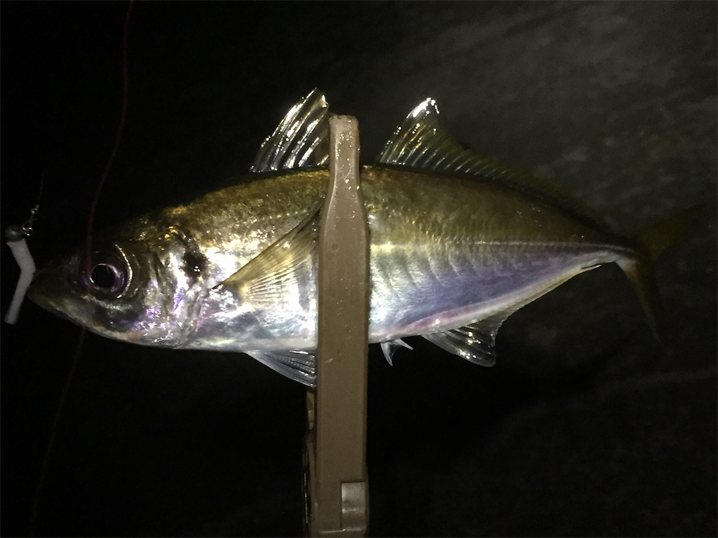 f:id:esojima3:20190622084034j:image f:id:esojima3:20190622084034j:image