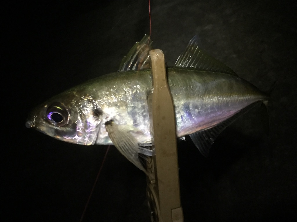 f:id:esojima3:20190622084040j:image f:id:esojima3:20190622084040j:image