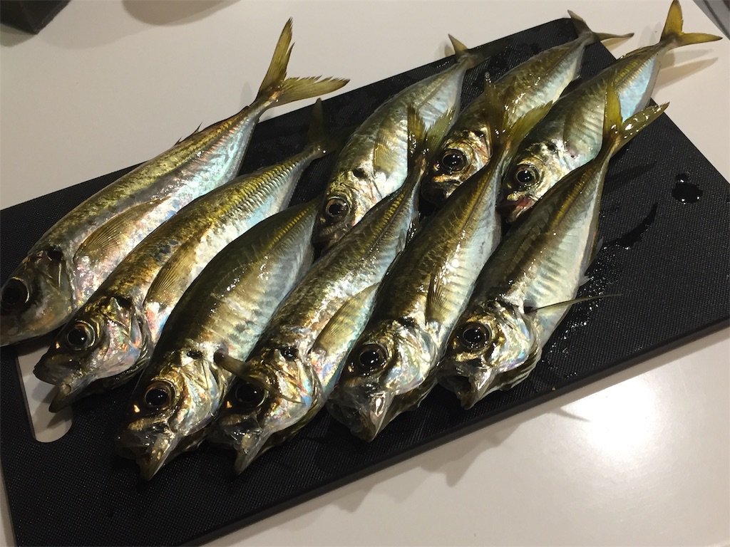 f:id:esojima3:20190623025202j:image