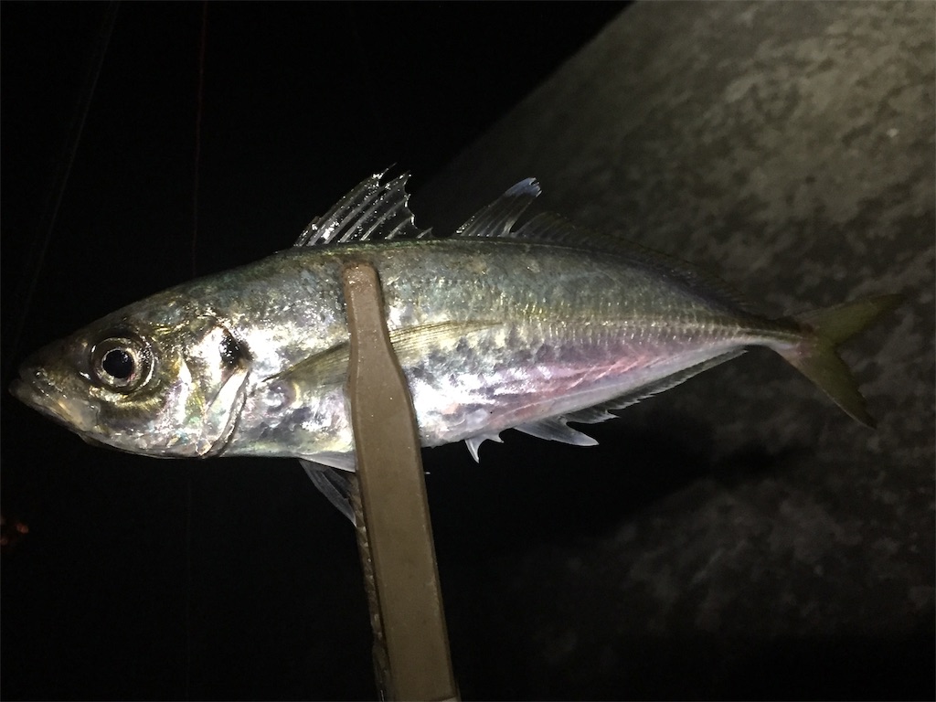 f:id:esojima3:20190626000931j:image