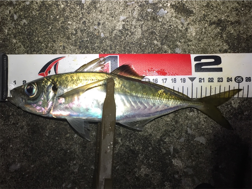f:id:esojima3:20190626000934j:image