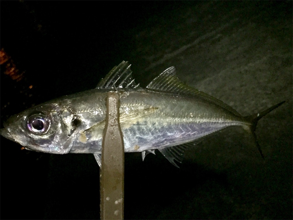 f:id:esojima3:20190626000939j:image