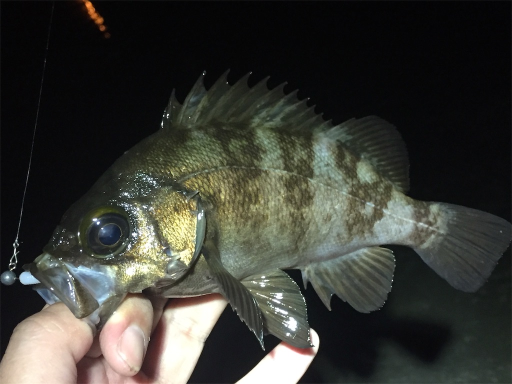 f:id:esojima3:20190626001302j:image