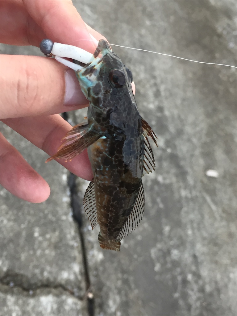 f:id:esojima3:20190627185958j:image