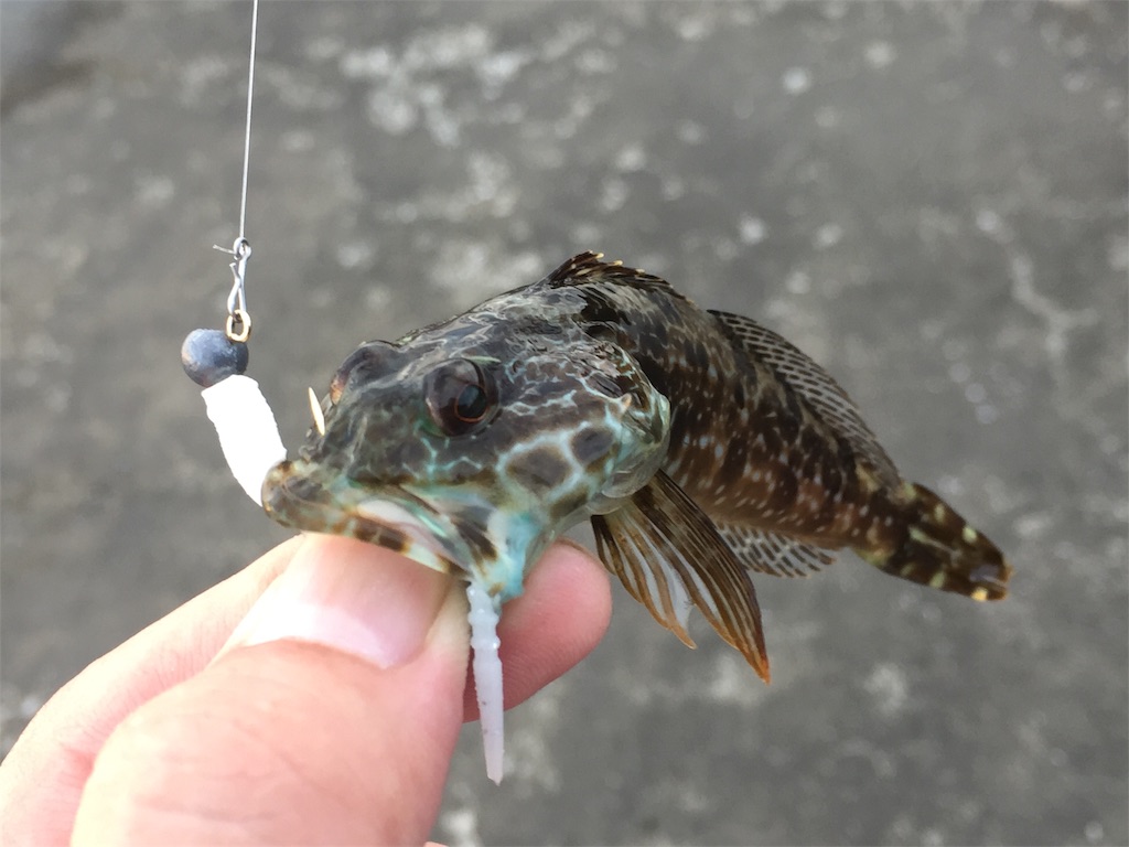 f:id:esojima3:20190627224514j:image