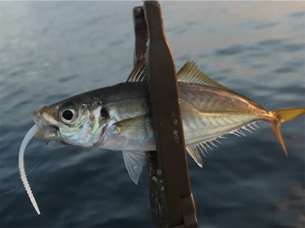 f:id:esojima3:20190627225518j:image
