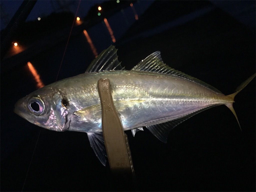 f:id:esojima3:20190627225856j:image