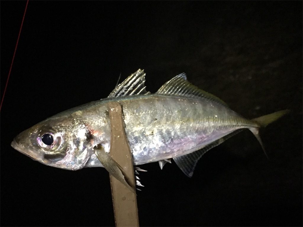 f:id:esojima3:20190627230531j:image