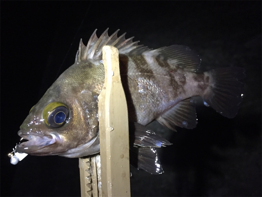 f:id:esojima3:20190627231117j:image
