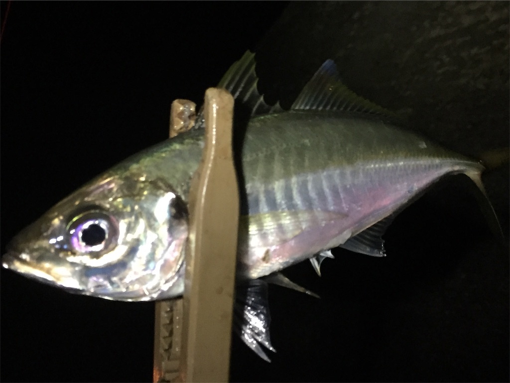 f:id:esojima3:20190627231809j:image