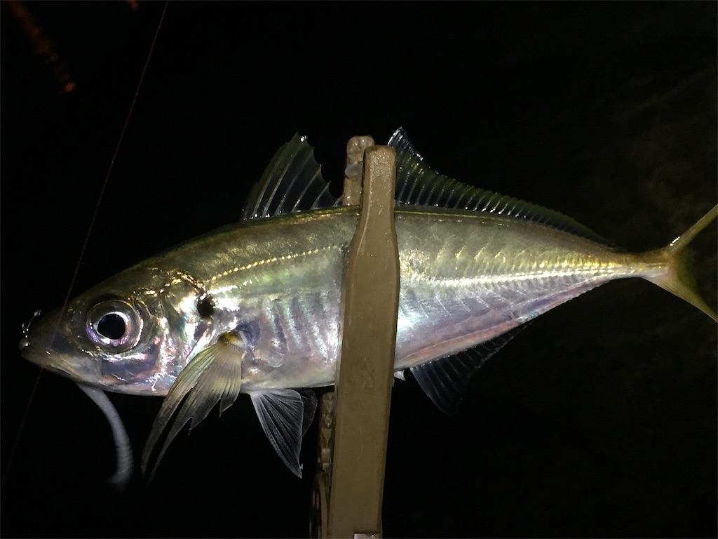 f:id:esojima3:20190627231822j:image