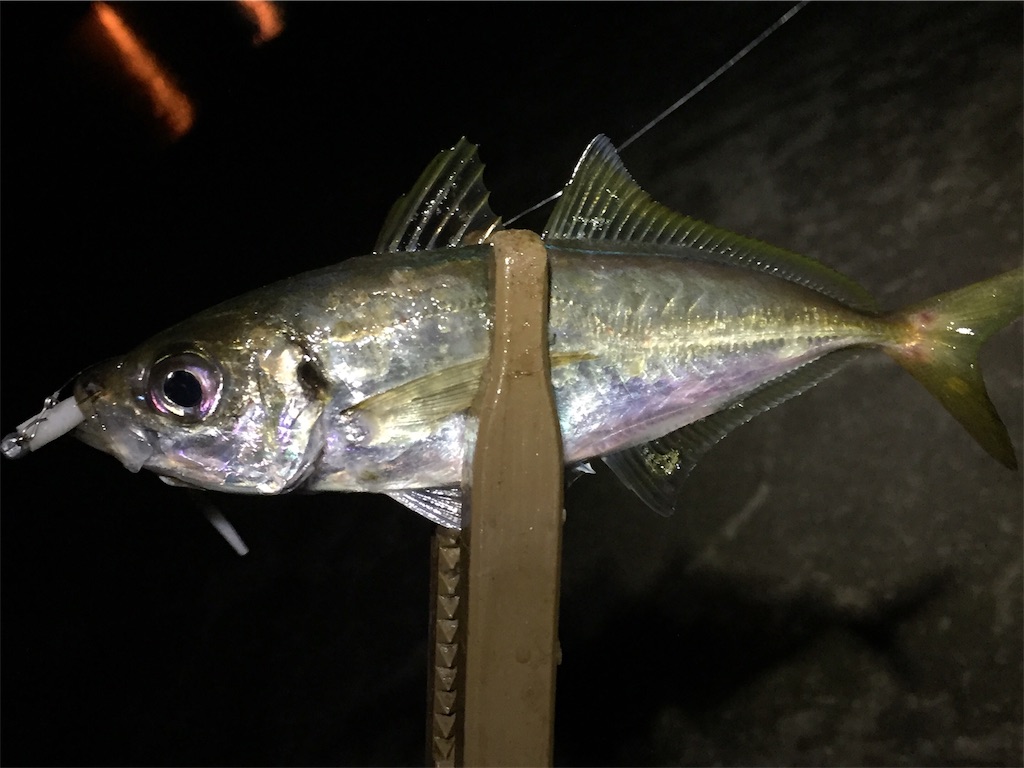 f:id:esojima3:20190629082523j:image