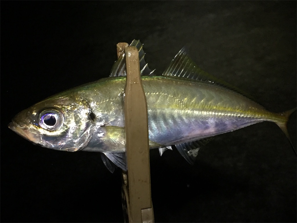 f:id:esojima3:20190629082526j:image
