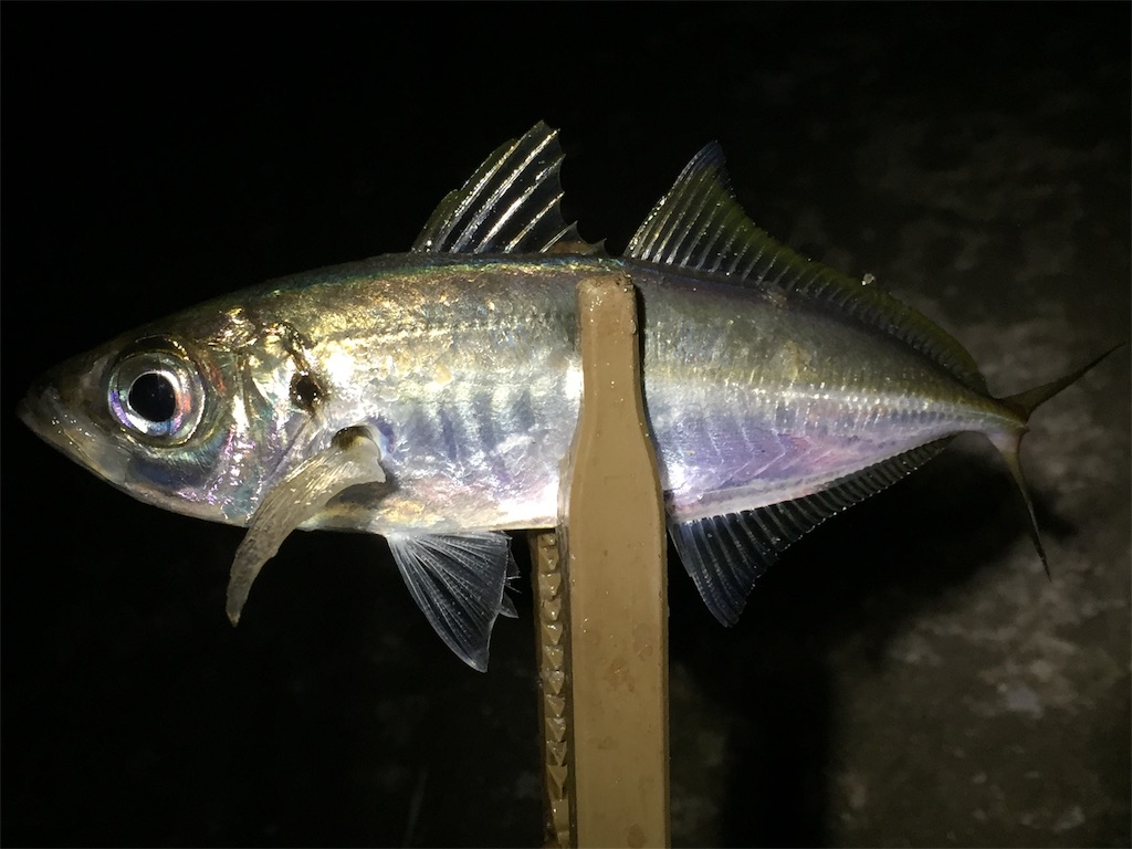 f:id:esojima3:20190629083125j:image