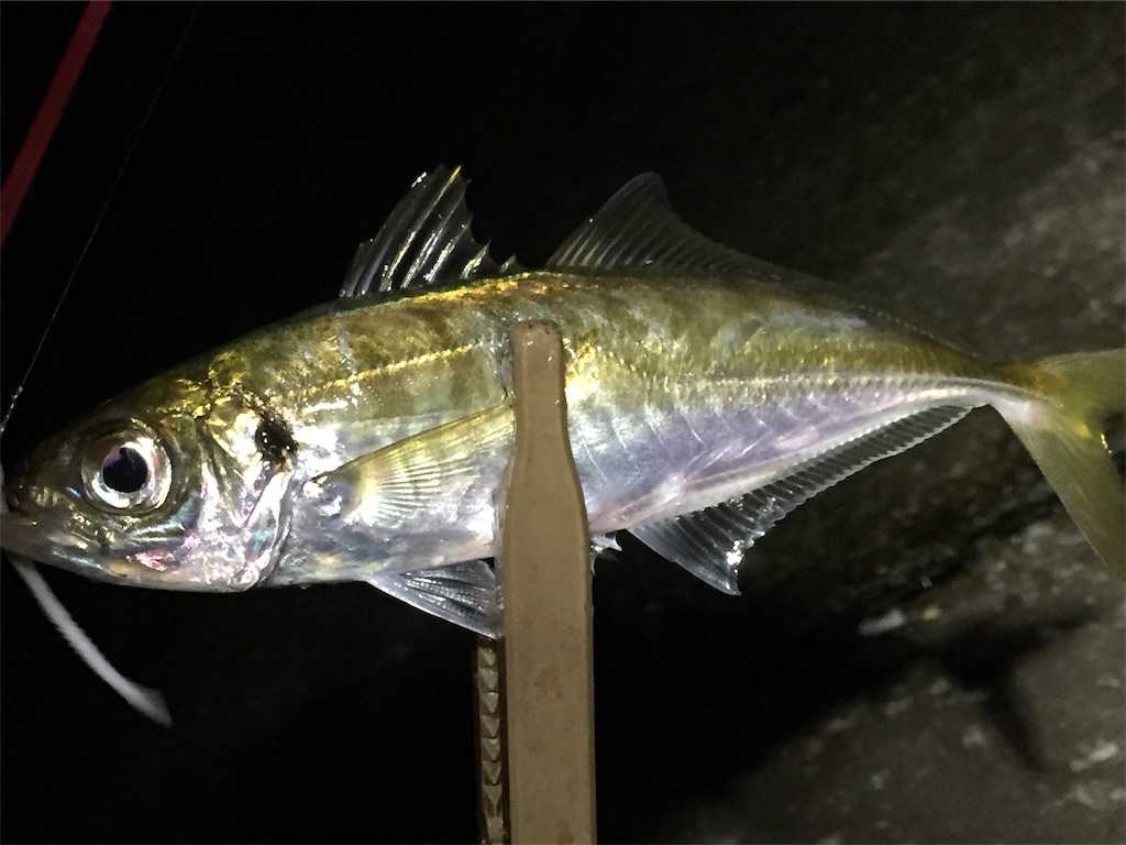 f:id:esojima3:20190629083131j:image