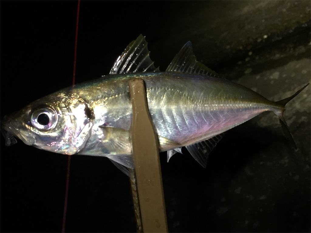 f:id:esojima3:20190629083410j:image