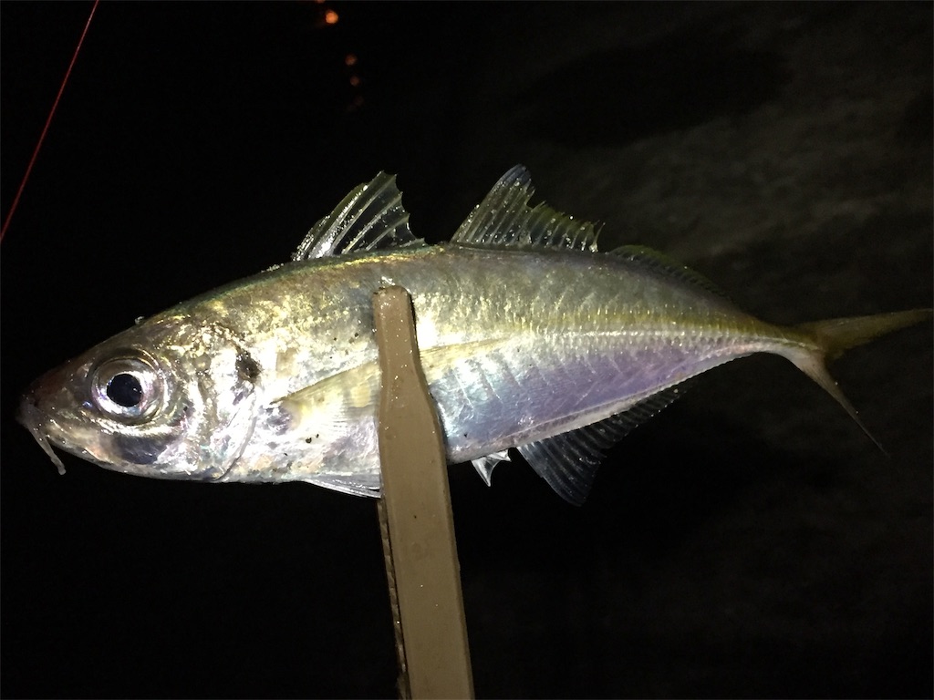 f:id:esojima3:20190629083413j:image