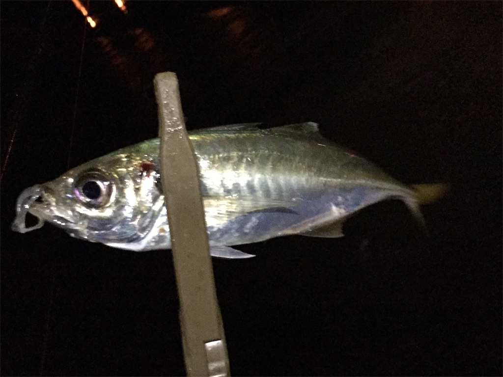 f:id:esojima3:20190630190436j:image