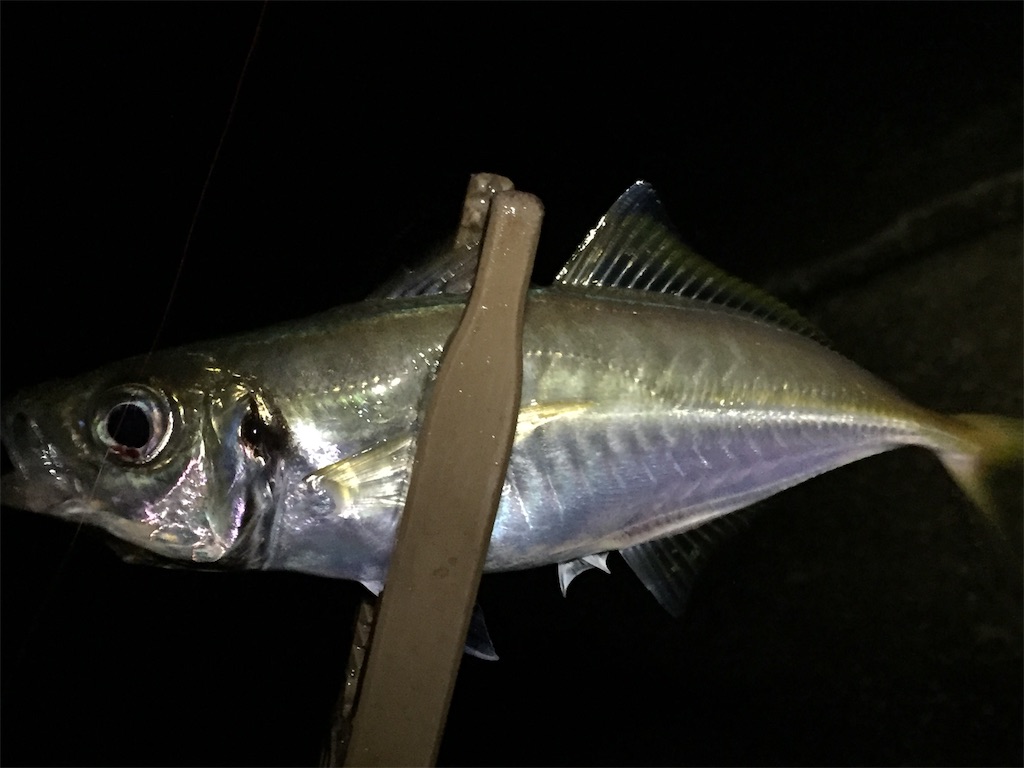 f:id:esojima3:20190702000759j:image