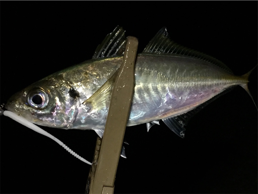 f:id:esojima3:20190702000852j:image