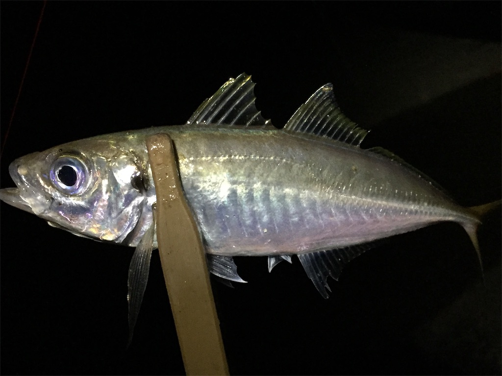 f:id:esojima3:20190703055913j:image